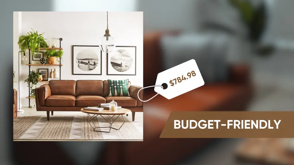 Budget-friendly Price Point Maimz Sofa